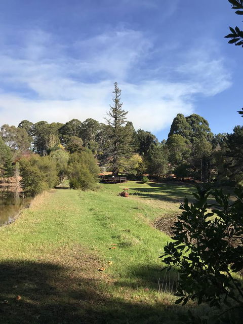 Forest Lodge Resort - Northern Rivers Accommodation 31