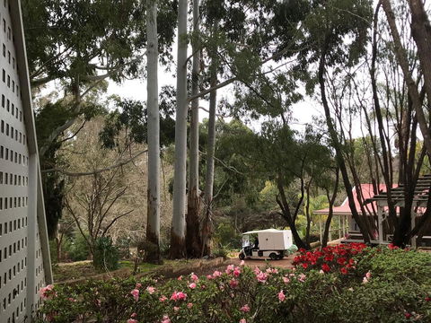 Forest Lodge Resort - Northern Rivers Accommodation 11