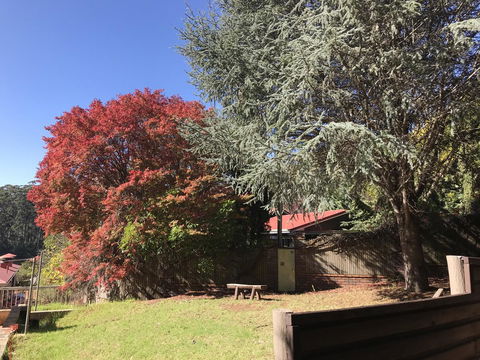 Forest Lodge Resort - Northern Rivers Accommodation 42