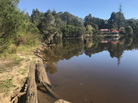 Forest Lodge Resort - Northern Rivers Accommodation 23