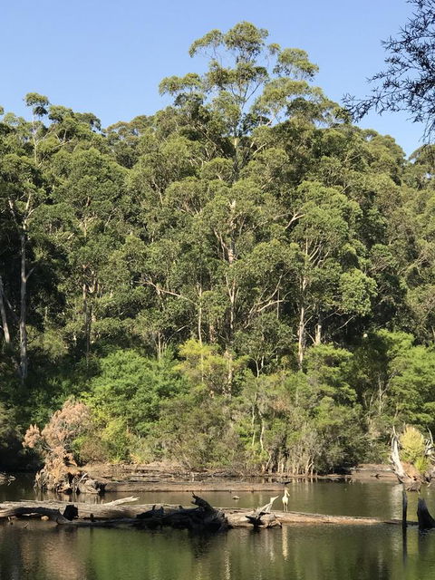 Forest Lodge Resort - Northern Rivers Accommodation 22