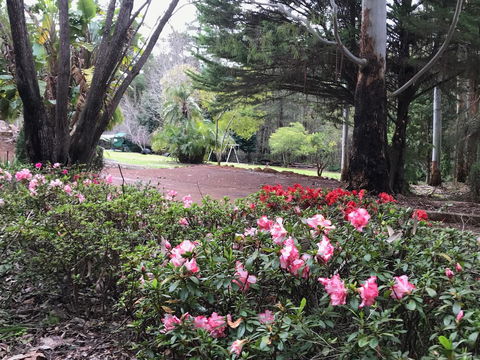 Forest Lodge Resort - Northern Rivers Accommodation 12