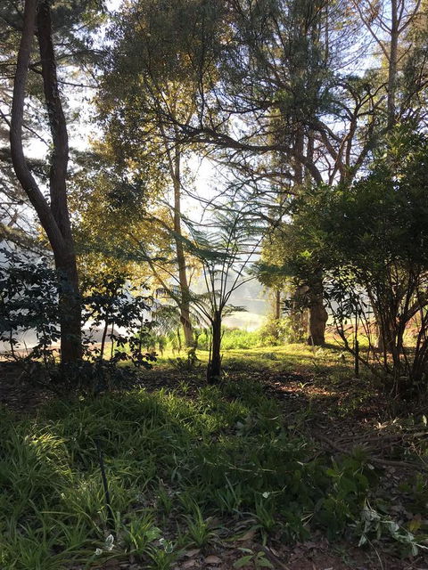 Forest Lodge Resort - Northern Rivers Accommodation 33