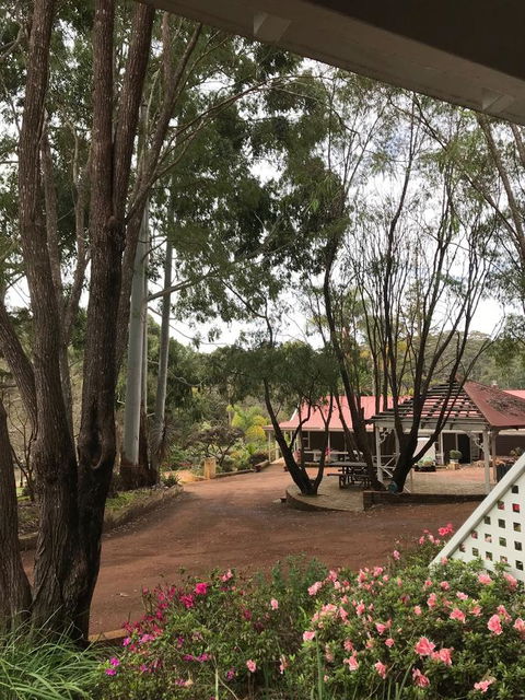 Forest Lodge Resort - Northern Rivers Accommodation 9