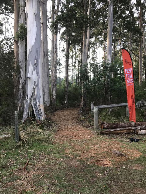 Forest Lodge Resort - Northern Rivers Accommodation 28