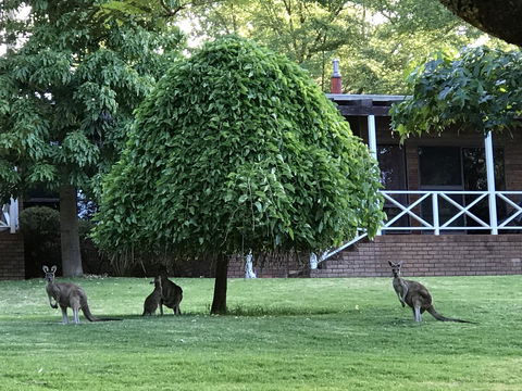 Forest Lodge Resort - Northern Rivers Accommodation 1