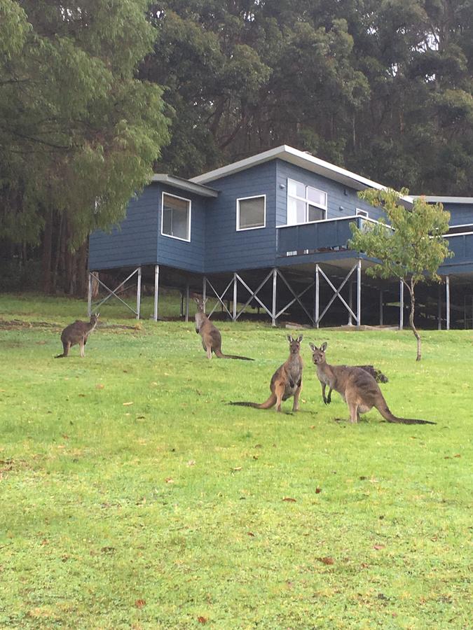 Denmark WA Northern Rivers Accommodation