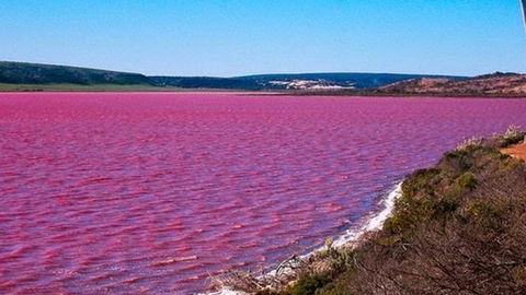 Kanga Cottage - Northern Rivers Accommodation 38