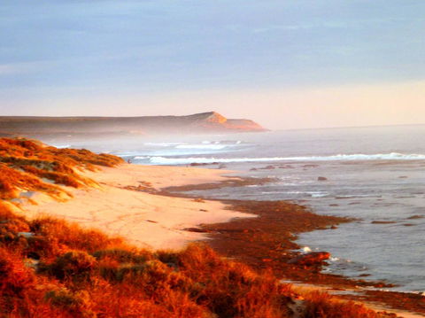 Kanga Cottage - Northern Rivers Accommodation 26