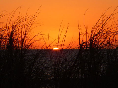 Kanga Cottage - Northern Rivers Accommodation 27