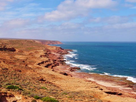 Kanga Cottage - Northern Rivers Accommodation 32