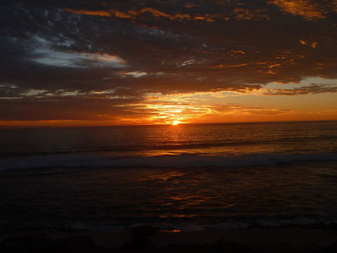 Kanga Cottage - Northern Rivers Accommodation 41