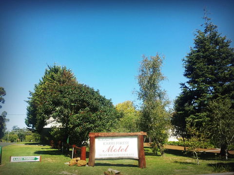 Karri Forest Motel - Northern Rivers Accommodation 29
