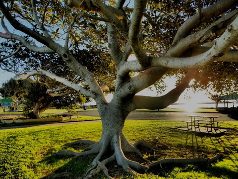 Lazy Lobster Holiday Units & Chalets - Northern Rivers Accommodation 34