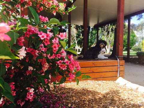 Armidale Tourist Park - Northern Rivers Accommodation 34