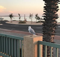 Shark Bay Seafront Apartments - Northern Rivers Accommodation