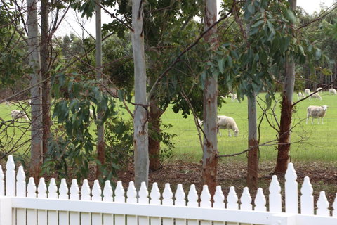 Sapphire Chalets, Augusta - Northern Rivers Accommodation 9