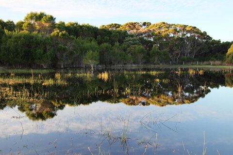 Sapphire Chalets, Augusta - Northern Rivers Accommodation 14