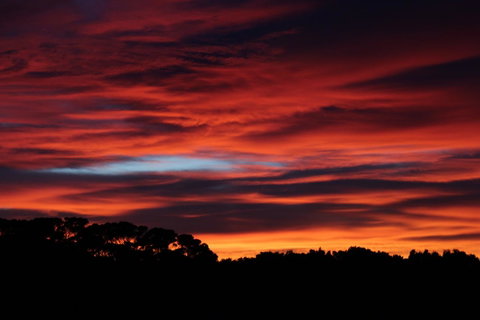 Sapphire Chalets, Augusta - Northern Rivers Accommodation 15