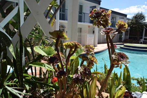 West Beach Lagoon 220 Stylish And Cozy - Northern Rivers Accommodation 18