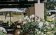 Chateau Elan At The Vintage - thumb 8
