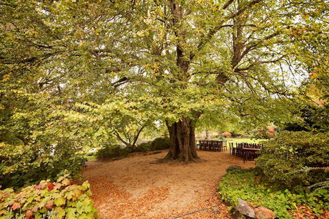 Nesuto Leura Gardens (formerly Waldorf Leura Gardens Resort) - Northern Rivers Accommodation 1