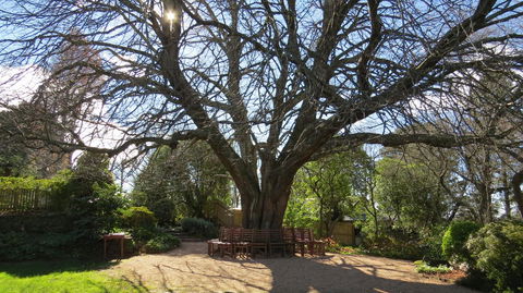 Nesuto Leura Gardens (formerly Waldorf Leura Gardens Resort) - Northern Rivers Accommodation 3