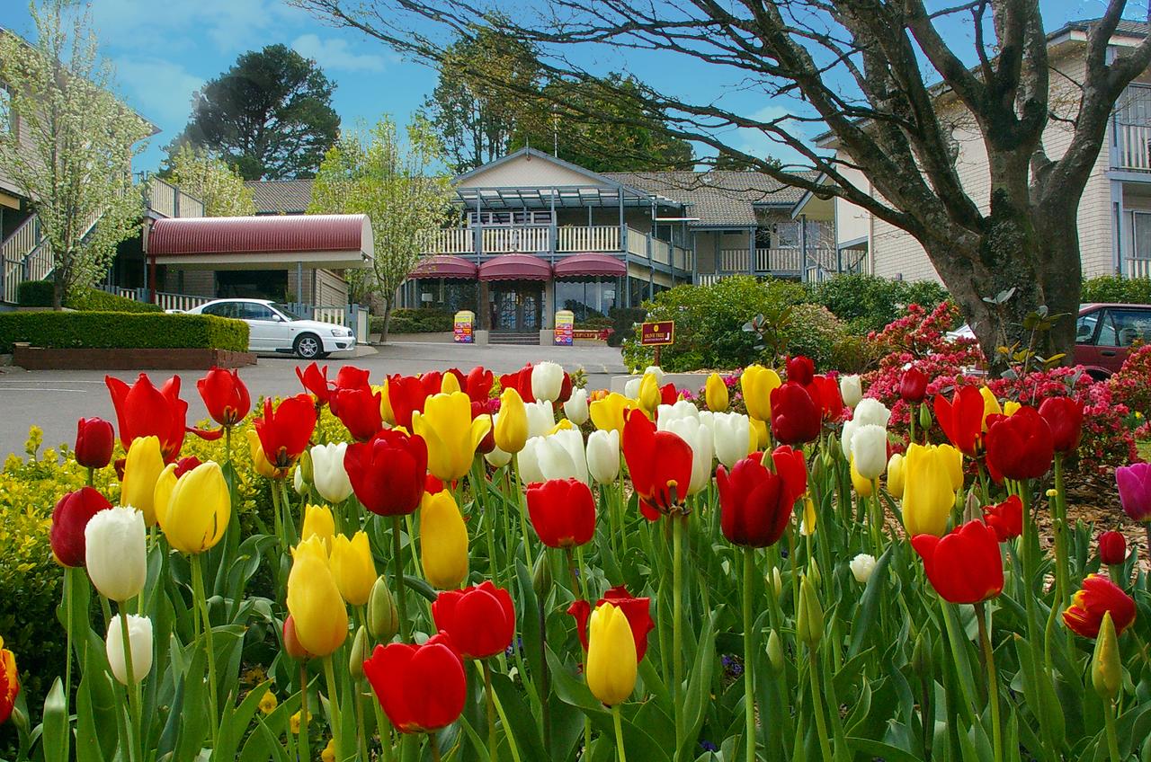 Leura NSW Northern Rivers Accommodation