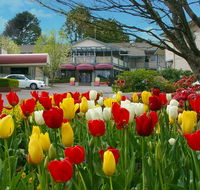 Nesuto Leura Gardens formerly Waldorf Leura Gardens Resort - Northern Rivers Accommodation