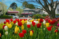 Book Leura Accommodation Vacations Northern Rivers Accommodation Northern Rivers Accommodation