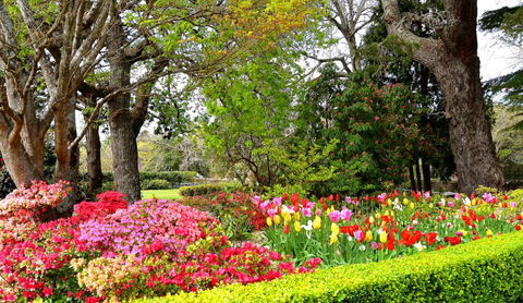 Nesuto Leura Gardens (formerly Waldorf Leura Gardens Resort) - Northern Rivers Accommodation 8