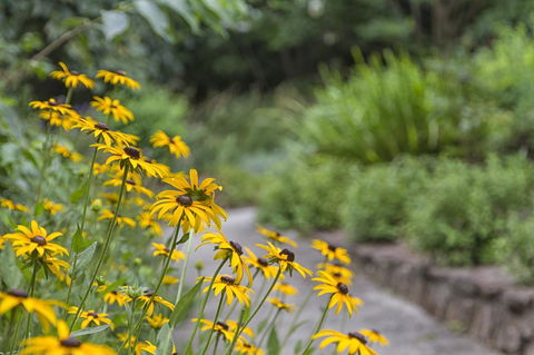 Nesuto Leura Gardens (formerly Waldorf Leura Gardens Resort) - Northern Rivers Accommodation 16