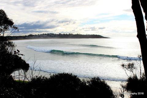 Mollymook Cove Apartments - Northern Rivers Accommodation 2
