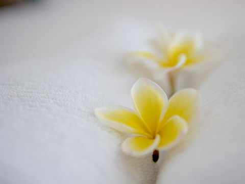 Cossies By The Sea - Northern Rivers Accommodation 16