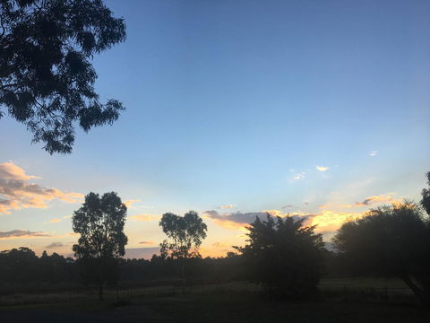 Junee Motor Inn - Northern Rivers Accommodation 26