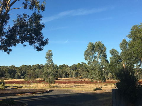 Junee Motor Inn - Northern Rivers Accommodation 24