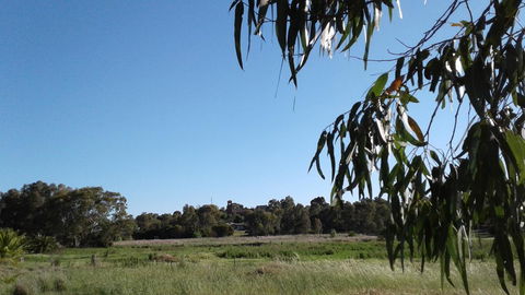 Junee Motor Inn - Northern Rivers Accommodation 8