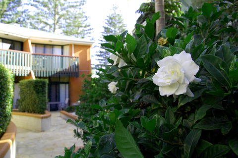 The Crest Byron Bay - Northern Rivers Accommodation 29
