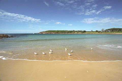 On The Beach Getaway - Northern Rivers Accommodation 12