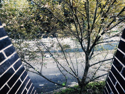 DD Apartments On Day - Northern Rivers Accommodation 35