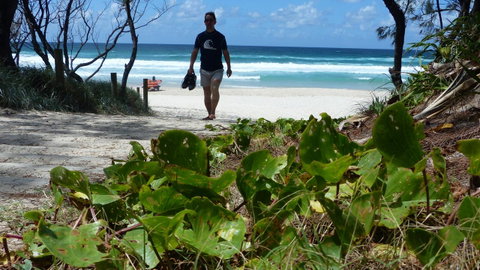 SaltBeach2302 - Northern Rivers Accommodation 15