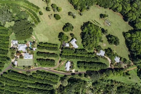 Byron Hinterland Villas - Northern Rivers Accommodation 17