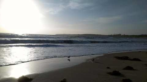Sweet Spot Shellharbour - Northern Rivers Accommodation 14