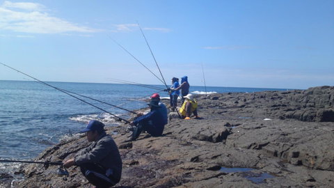 Sweet Spot Shellharbour - Northern Rivers Accommodation 13