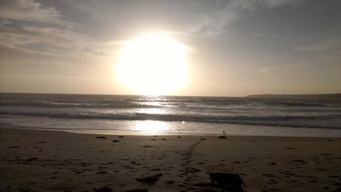 Sweet Spot Shellharbour - Northern Rivers Accommodation 16