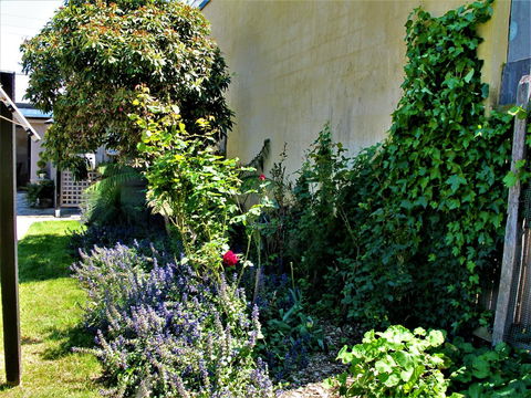 Apple Tree Cottage - Northern Rivers Accommodation 24