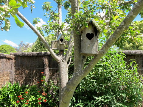Apple Tree Cottage - Northern Rivers Accommodation 28