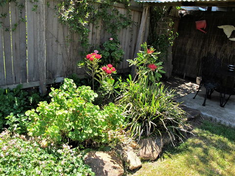 Apple Tree Cottage - Northern Rivers Accommodation 26
