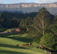 Amaroo Valley Springs - Northern Rivers Accommodation