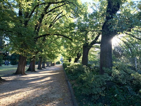 The Botanical 201 - Northern Rivers Accommodation 17